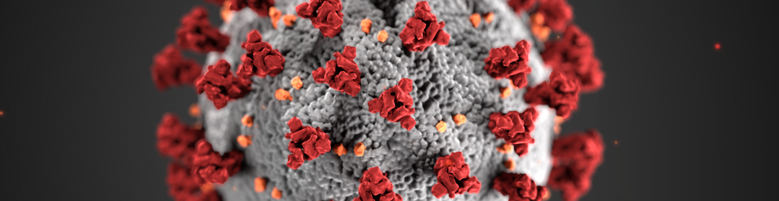 Thuiswerken vanwege coronavirus - VOIPZeker